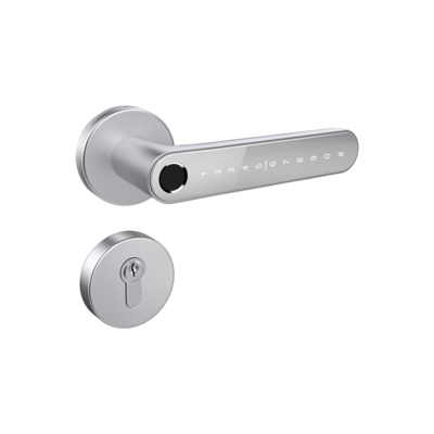 HOME FAST SILVER 4